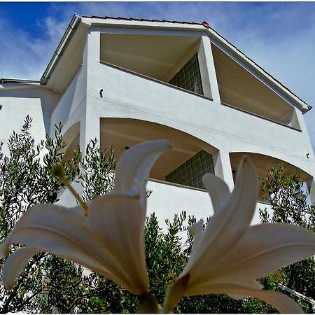 Apartments Purkovic Vodice Eksteriør bilde